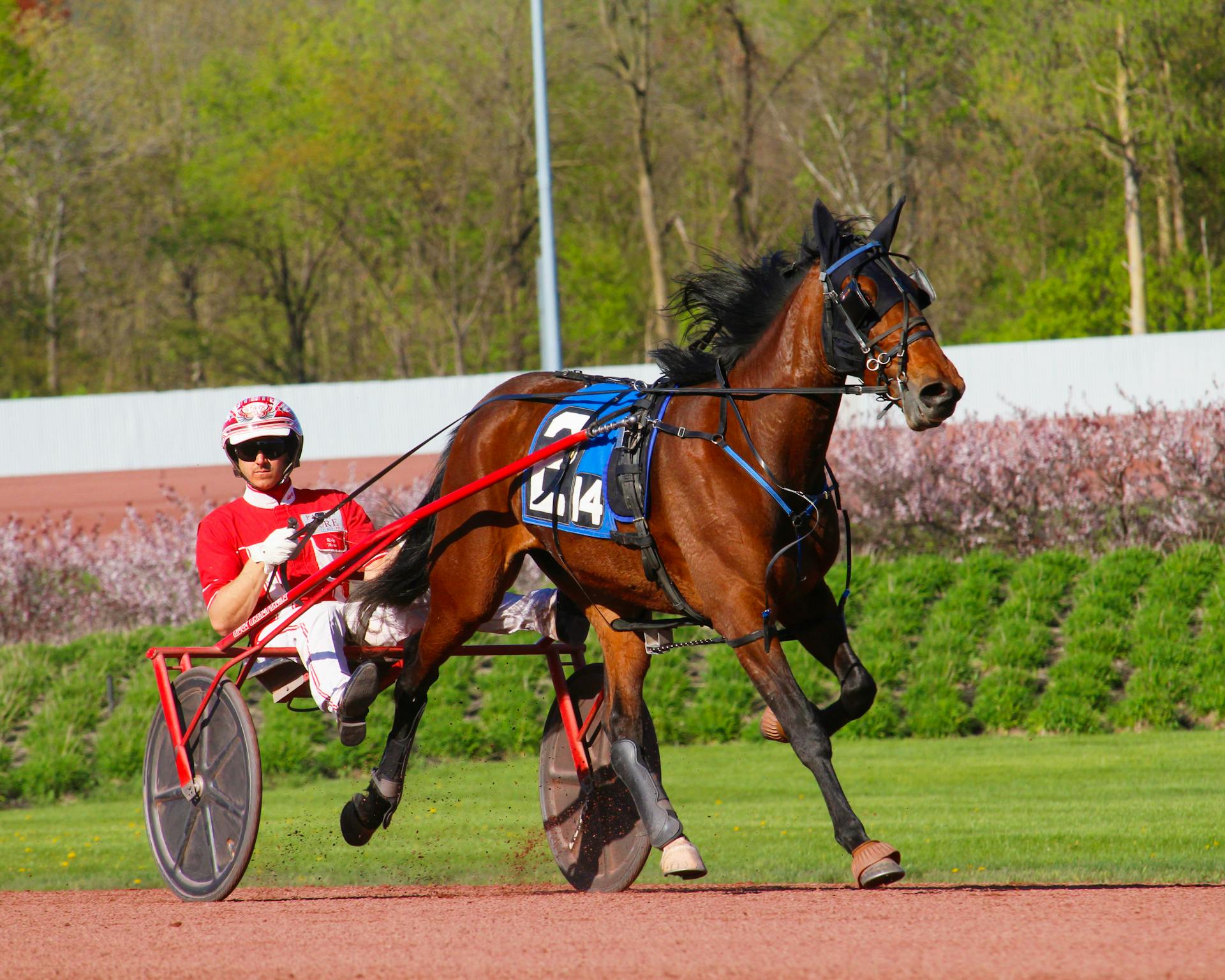 Dutching Sportwetten – Einsätze auf mehrere Ausgänge verteilen