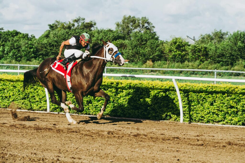 Pferderennen Wetten Guide Galopp Jockey