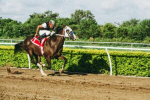 Pferderennen-Wetten: Der ultimative Guide für Einsteiger und Profis